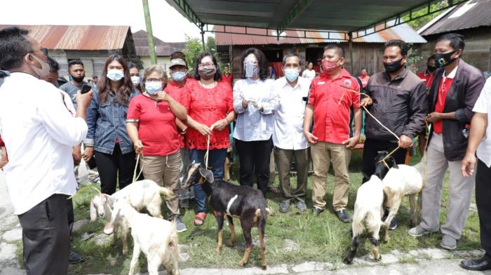 Kelompok Tani di Taput Terima 60 ekor Kambing dan 600 ekor Itik