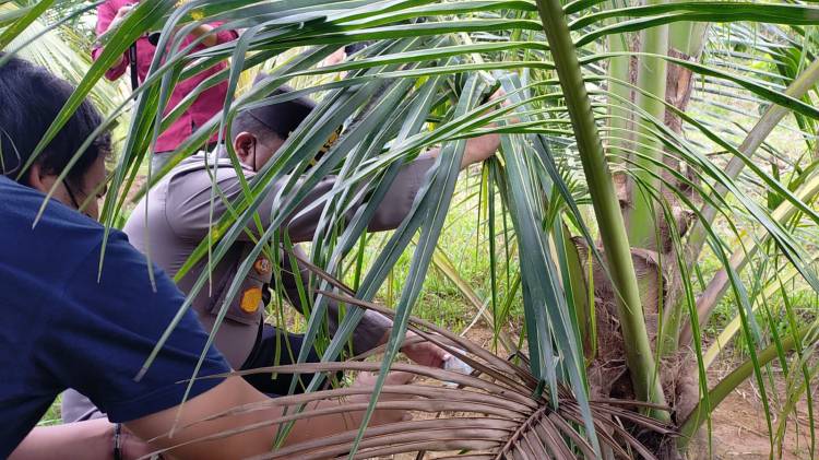 Grebek Lokasi Nyabu di Padang Bulan, Puluhan Pria Kucar-kacir