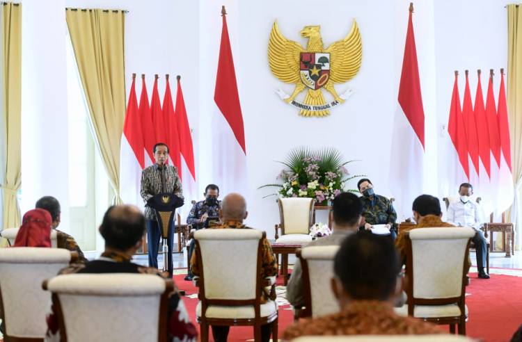 Presiden Jokowi Dorong Pertamina dan PLN Siapkan Transisi Energi