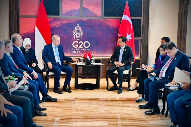 Presiden Jokowi Lakukan Pertemuan dengan Presiden Erdogan