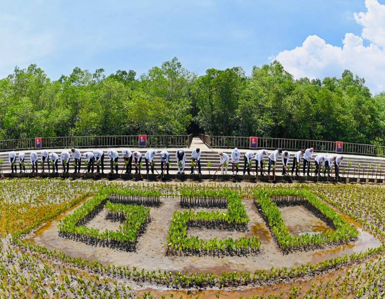Presiden dan Para Pemimpin Negara G20 Tanam Pohon Mangrove di Tahura
