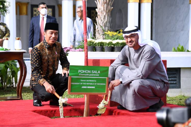 Jokowi dan Presiden MBZ Resmikan Masjid Raya Sheikh Zayed di Kota Surakarta