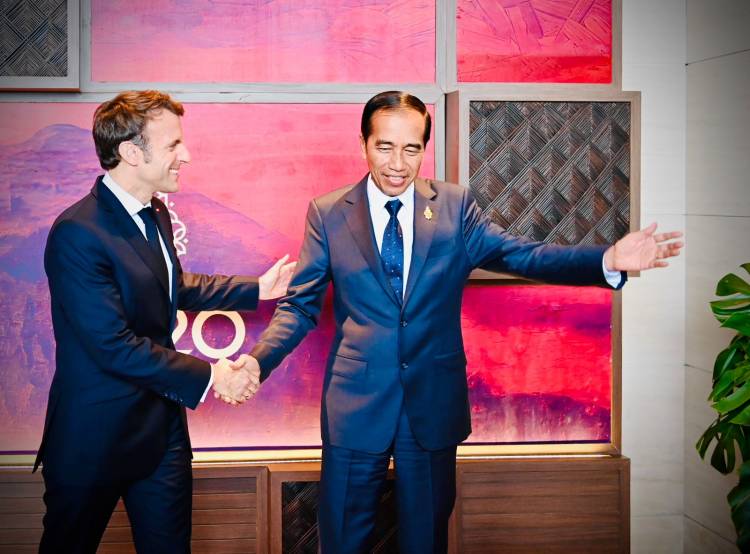 Presiden Jokowi Lakukan Pertemuan Bilateral dengan Presiden Prancis