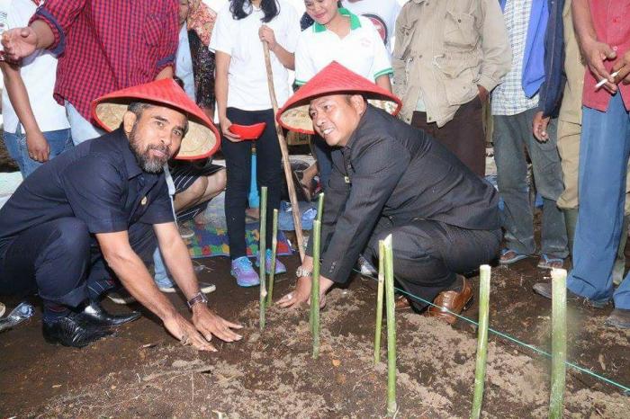 Pemkab Galakkan Pertanian Tepat Sasaran di Hutaginjang Silando Kecamatan Muara