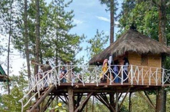 Libur Akhir Tahun 2016, Lima Rumah Kayu Siap Sambut Wisatawan