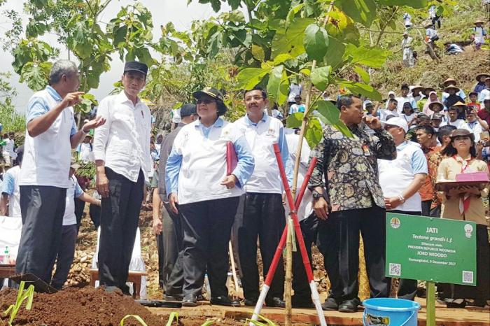 Presiden Buka HMPI di Yogyakarta, Gubsu Tanam Pohon Nangka