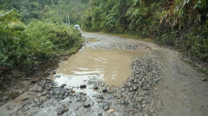 Jalan Desa Pulogodang-Sipagabu Penghubung Onanganjang-Pakkat Memprihatinkan