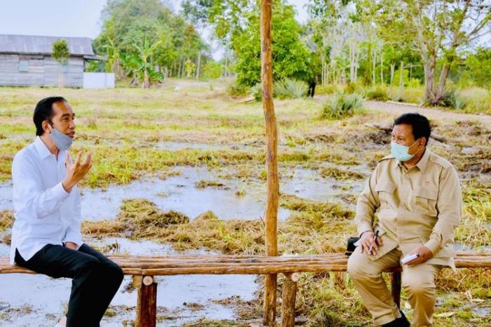 Food Estate Demi Ketahanan dan Ekspor Pangan