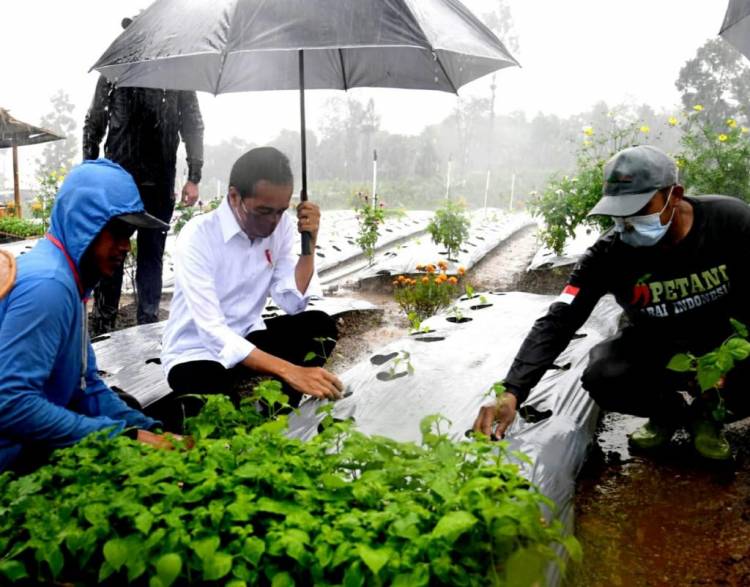 Dialog dengan Presiden, Petani Wonosobo Ungkapkan Manfaat Lumbung Pangan bagi Mereka