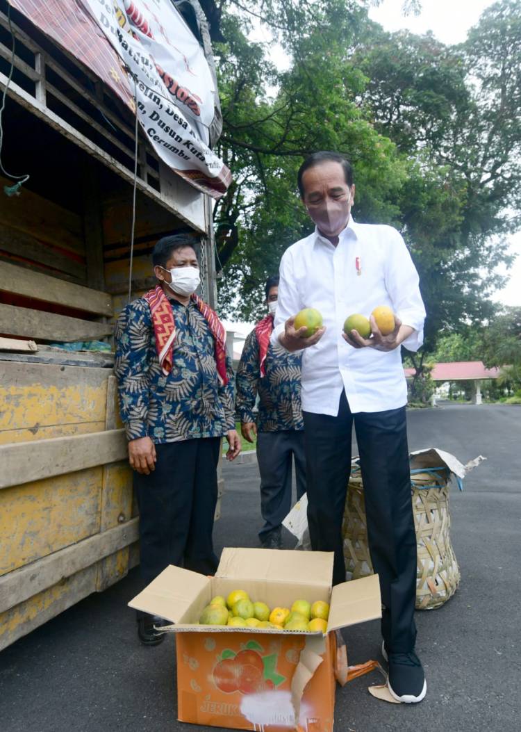 Presiden Jokowi Terima Perwakilan Warga Liang Melas Datas di Istana