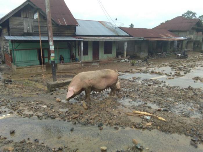 Banjir Aceh Tenggara